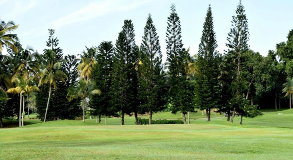 Palm Resort Golf and Country Club