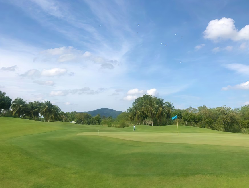 Greenwood memiliki karakter parkland-links yang cukup khas. Greenwood memiliki karakter parkland-links yang cukup khas.