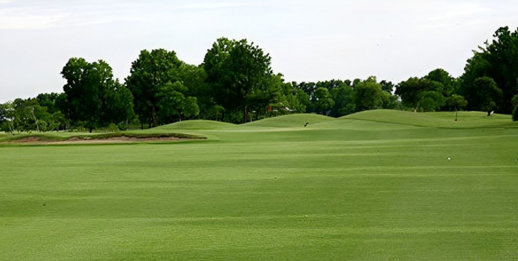 The Pine Golf Club は、Bangkok周辺ではvalue、自然、静かな雰囲気、難しいgreenを特徴とするコースです。