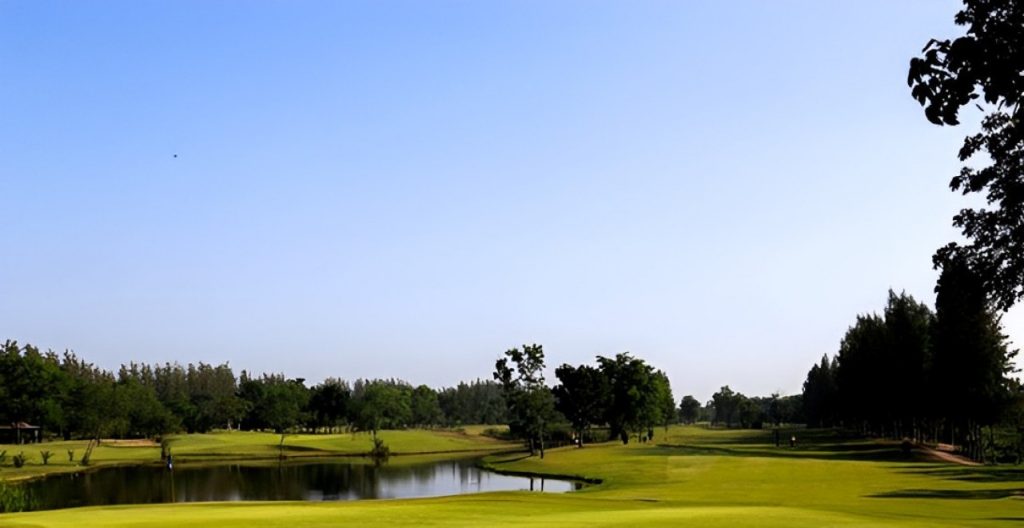 The Pine Golf Club の大きな魅力は、自然を感じられる開放的な雰囲気です