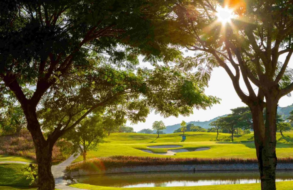 Black Mountain Golf Club の水が絡むグリーン