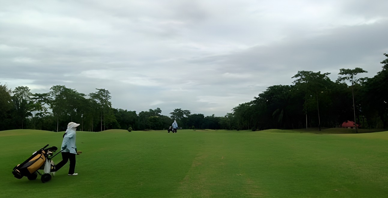 Dynasty Golf and Country Club のフェアウェイ