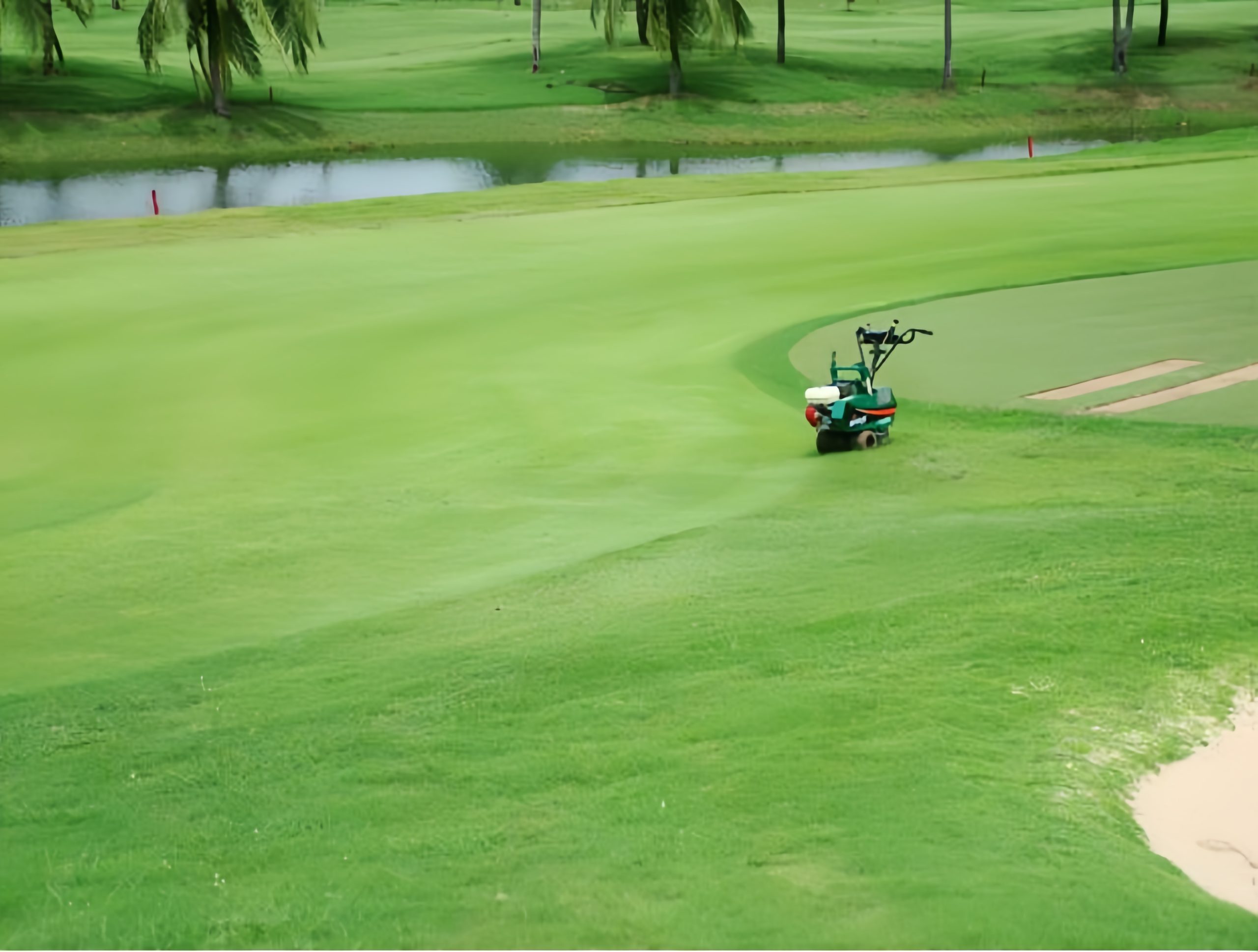 Eastern Star Country Club and Resort のクラブハウス周辺