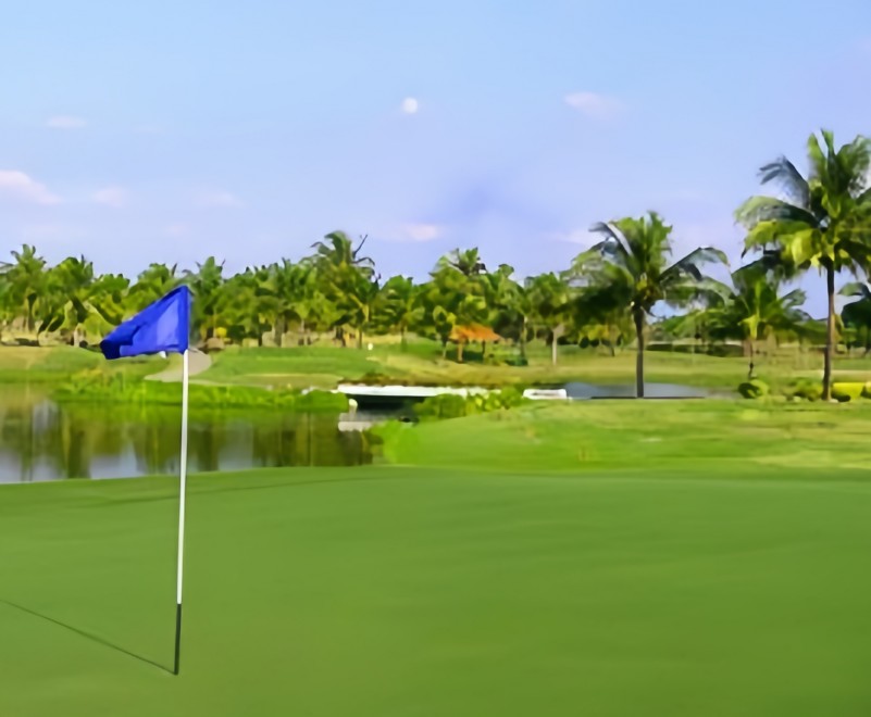 Eastern Star Country Club and Resort(イースタンスター・カントリークラブ&リゾート)のヤシが並ぶフェアウェイ