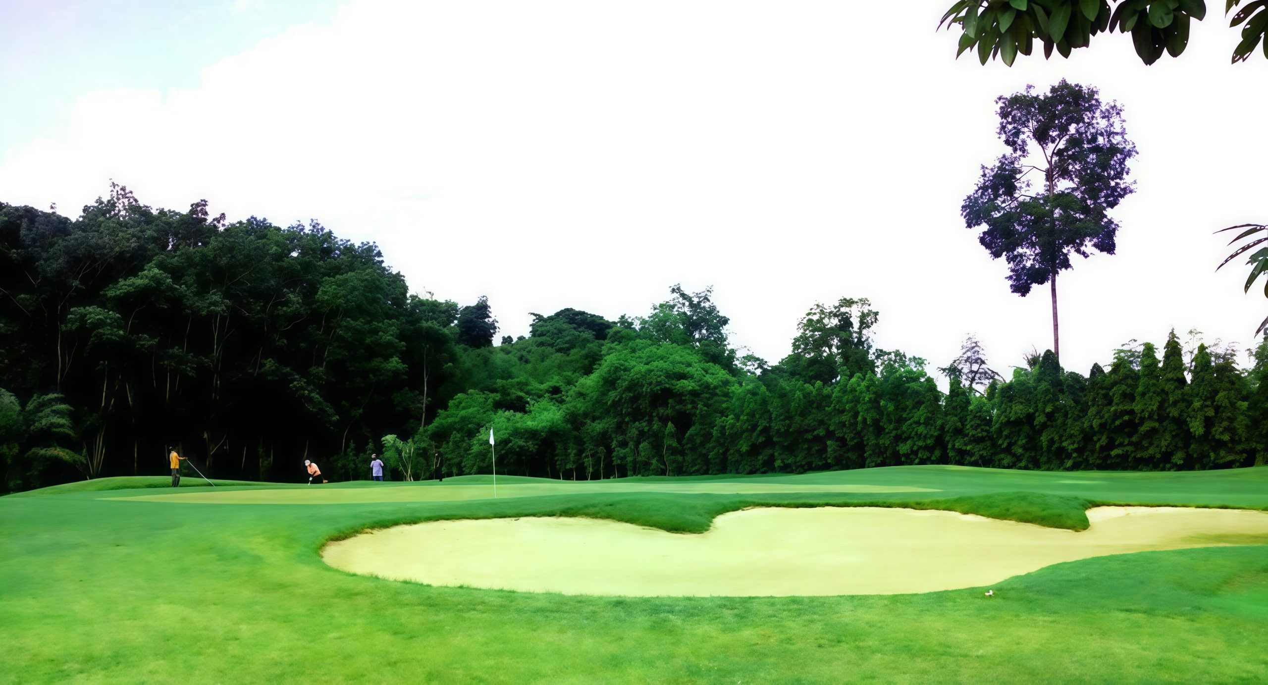 Hula Hula Golf Club のグリーンとバンカー