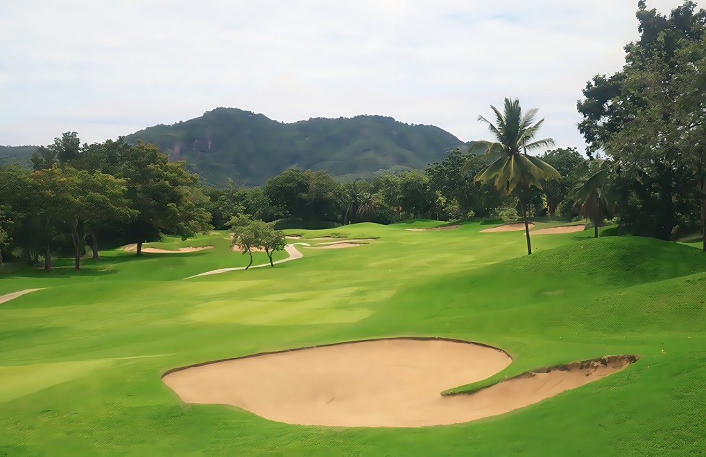 Lake View Resort and Golf Club の水が絡むホール