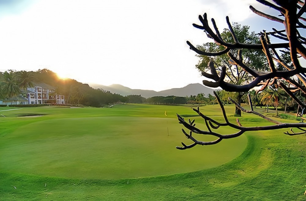 Palm Hills Golf Club and Residence の湖が絡むホール